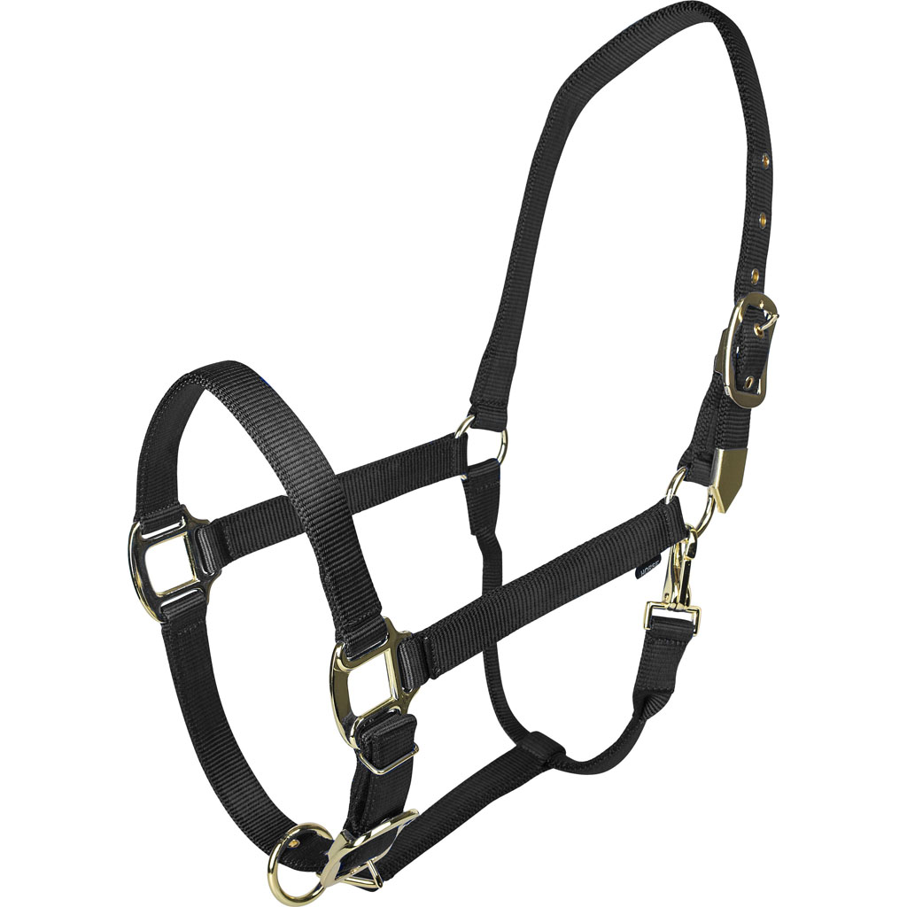 Picture of Gatsby 4-367733 Gold Adjustable Halter with Snap - Black - Horse