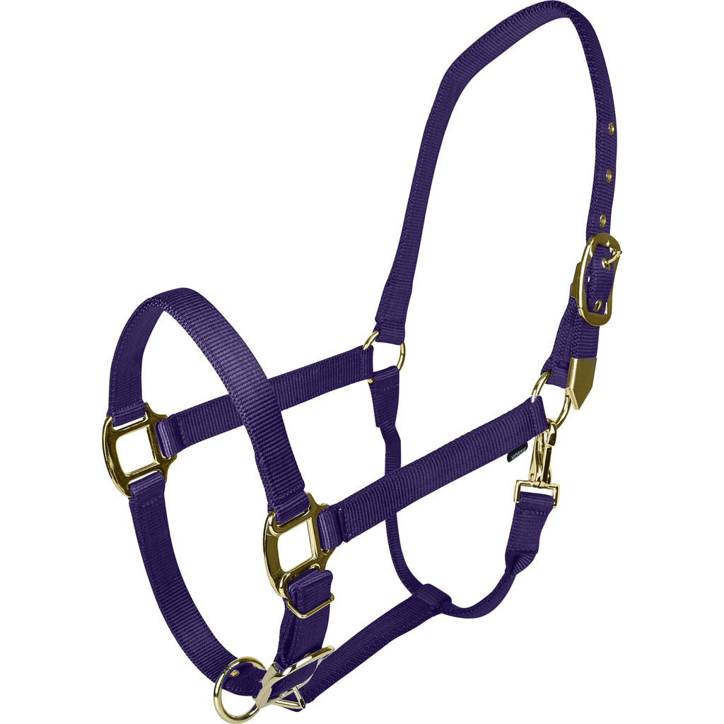 Picture of Gatsby 4-367742 Gold Adjustable Halter with Snap - Purple - Oversize