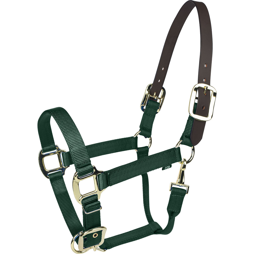 Picture of Gatsby 4-367763 Gold Nylon Breakaway Halter - Hunter Green - Pony