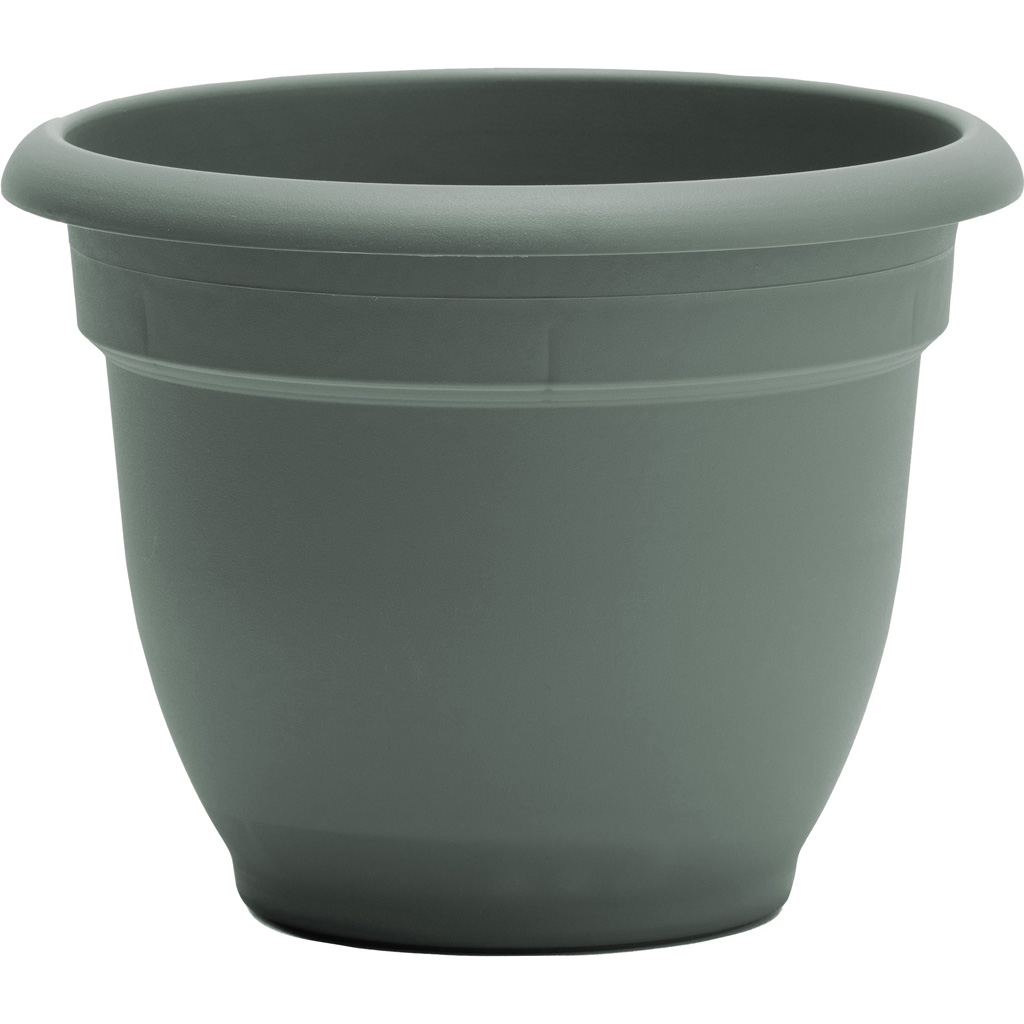 AP0841 8 in. Ariana Planter - Basil