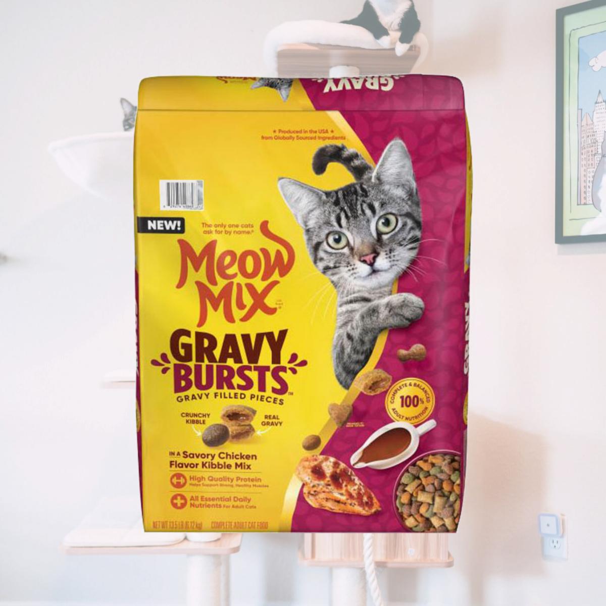 Picture of Meow Mix 2927440860 Gravy Bursts Dry Cat Food - Chicken - 13.5 lbs