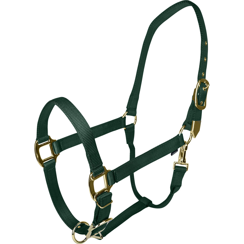 Picture of Gatsby 4-367746 Gold Adjustable Halter with Snap - Hunter Green - Oversize