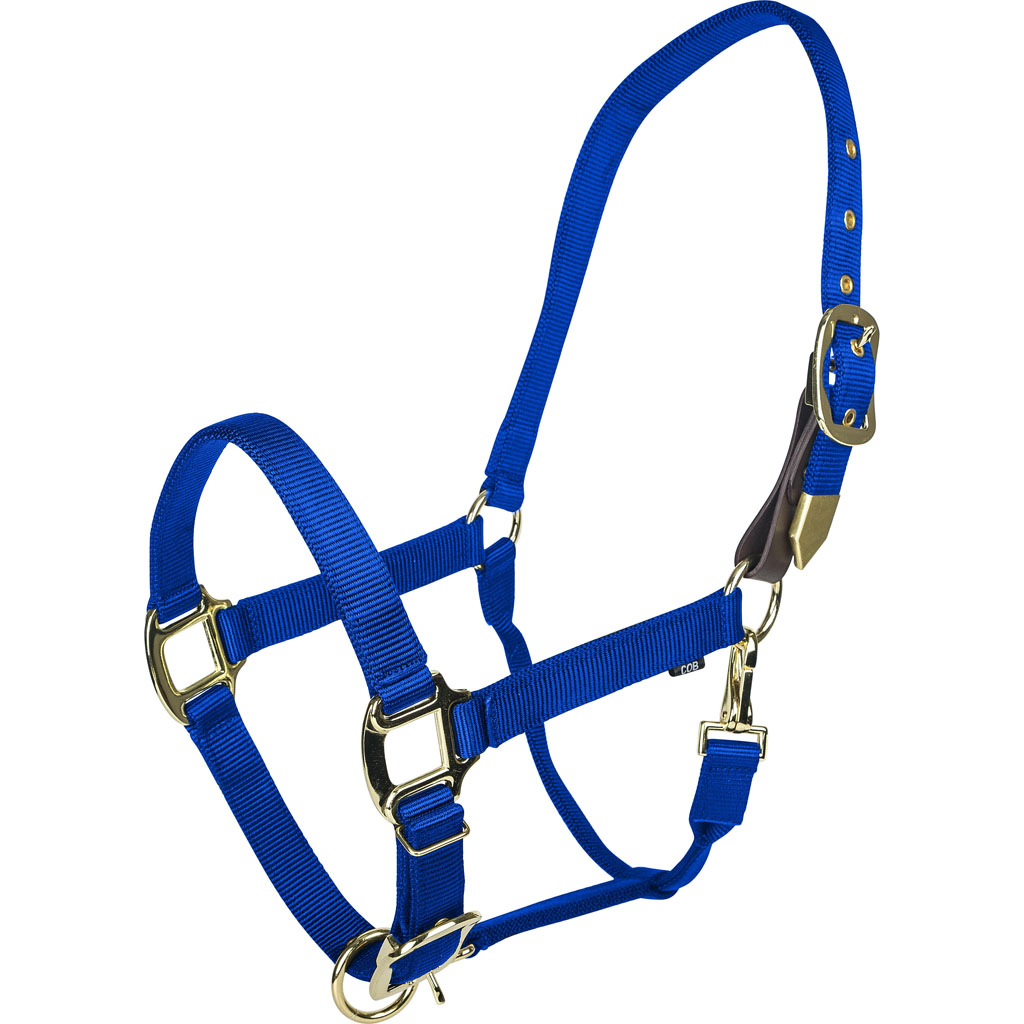 Picture of Gatsby 4-394644 Gold Adjustable Safety Breakaway Halter - Blue - Pony