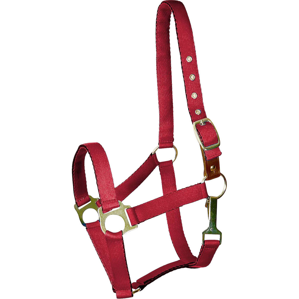 Picture of Gatsby 5-121180 Ultra Soft Nylon Safety Halter&#44; Red - COB
