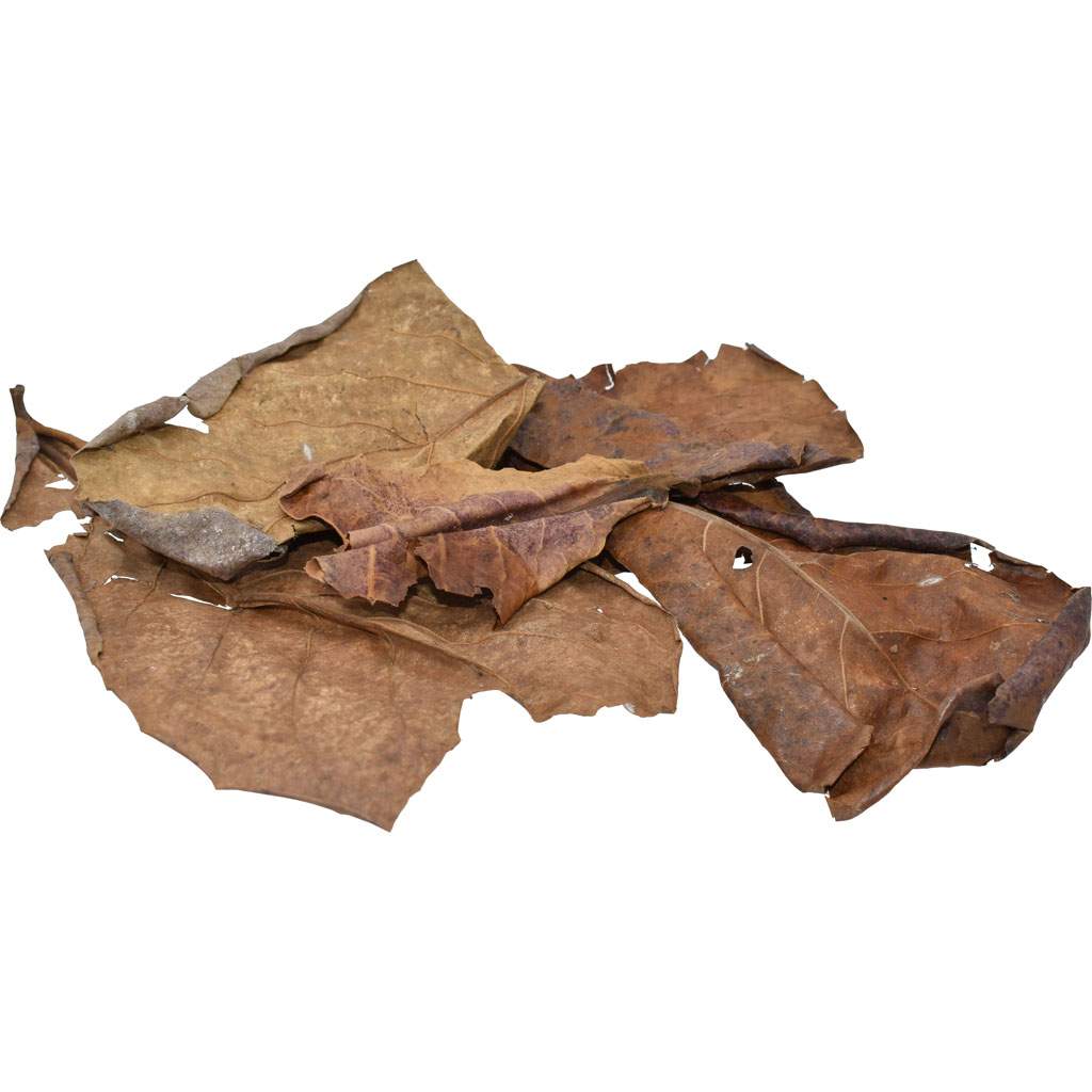 Picture of Komodo Reptile 93431 3 oz Dried Oak Leaves Bag - Case of 72