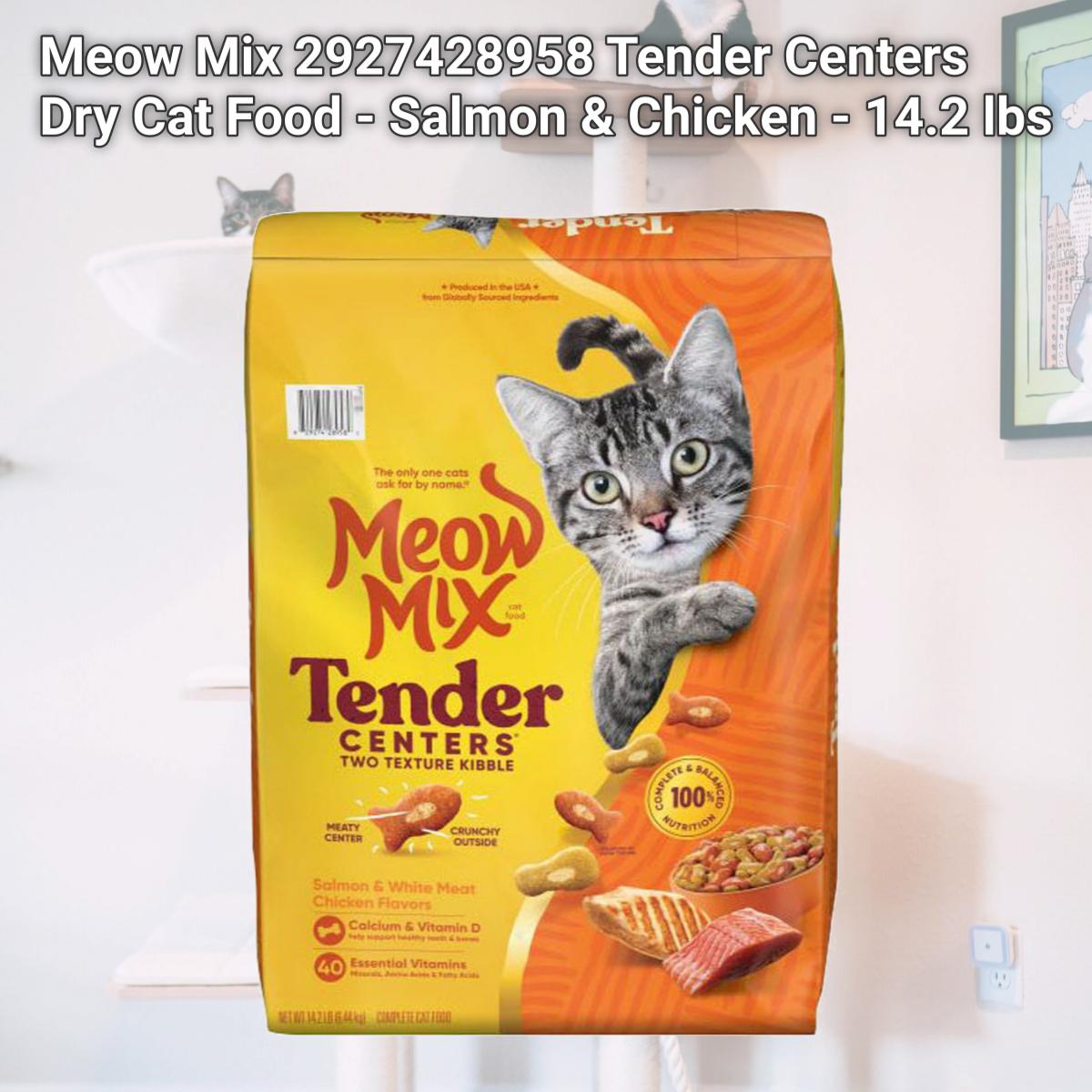 Picture of Meow Mix 2927428958 Tender Centers Dry Cat Food - Salmon & Chicken - 14.2 lbs