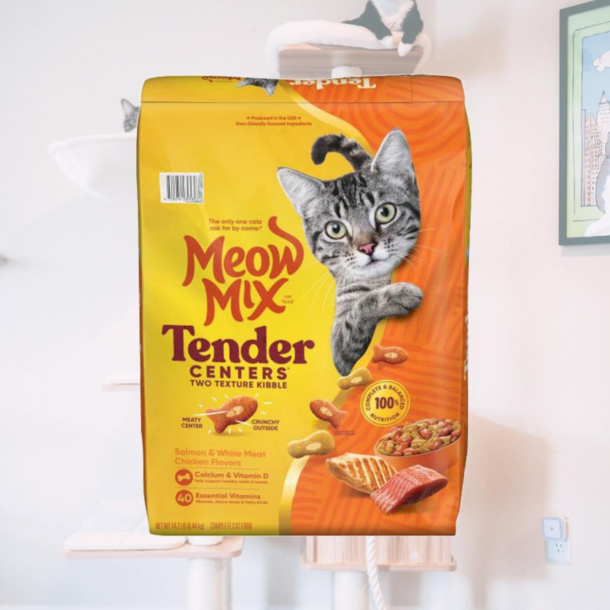 Picture of Meow Mix 2927428958 Tender Centers Dry Cat Food - Salmon & Chicken - 14.2 lbs