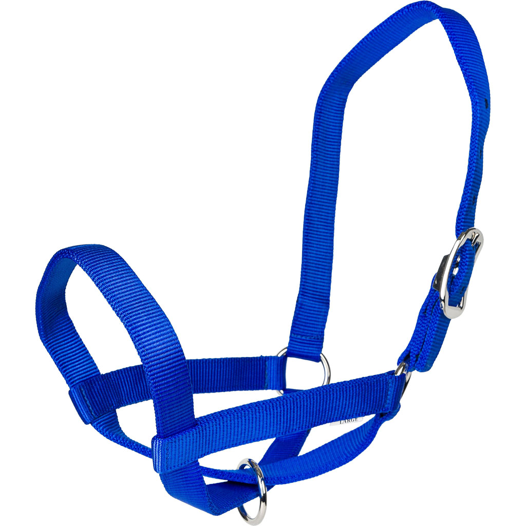 Picture of Gatsby 4-367726 Nylon Cattle Halter - Blue - Extra Large
