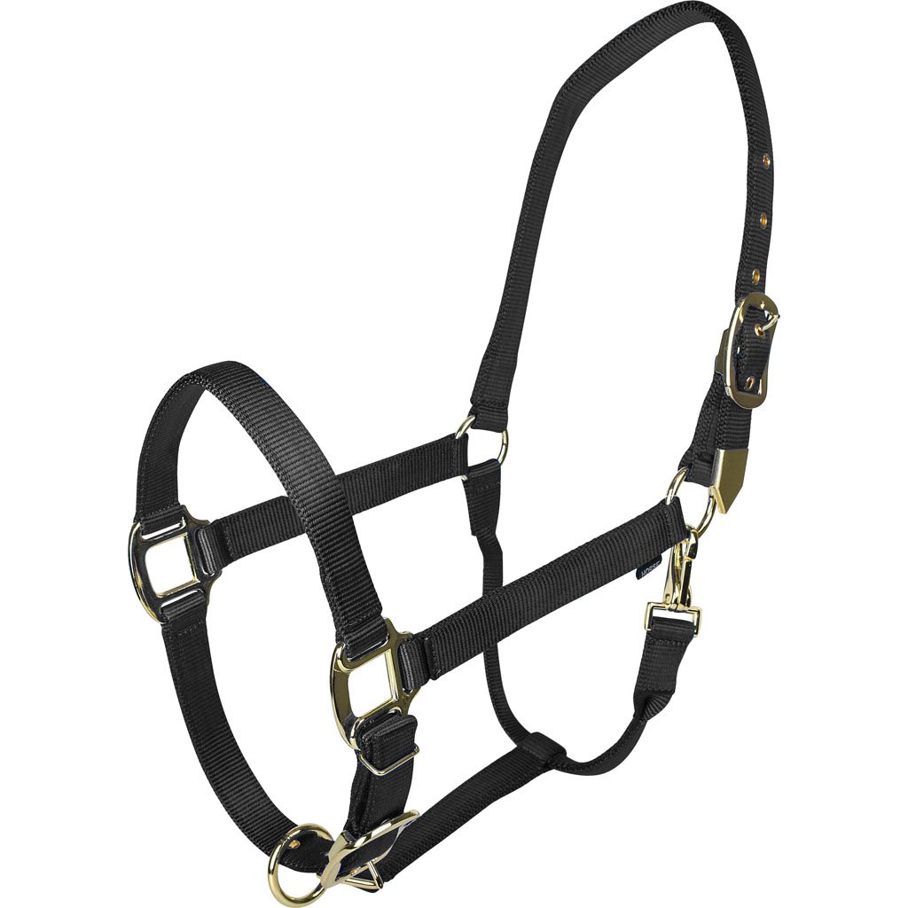 Picture of Gatsby 4-367731 Gold Adjustable Halter with Snap - Black - Pony