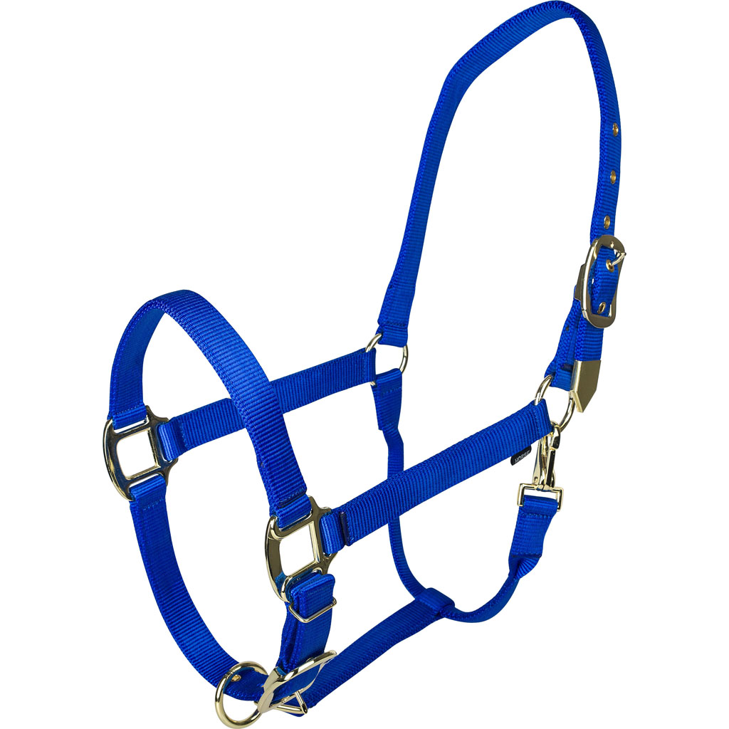 Picture of Gatsby 4-367736 Gold Adjustable Halter with Snap - Blue - COB