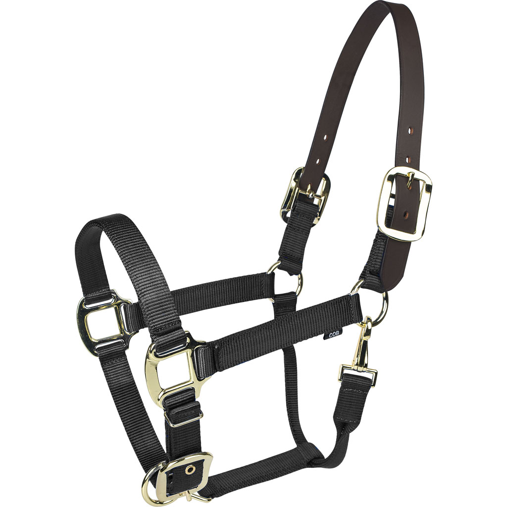 Picture of Gatsby 4-367752 Gold Nylon Breakaway Halter - Black - COB