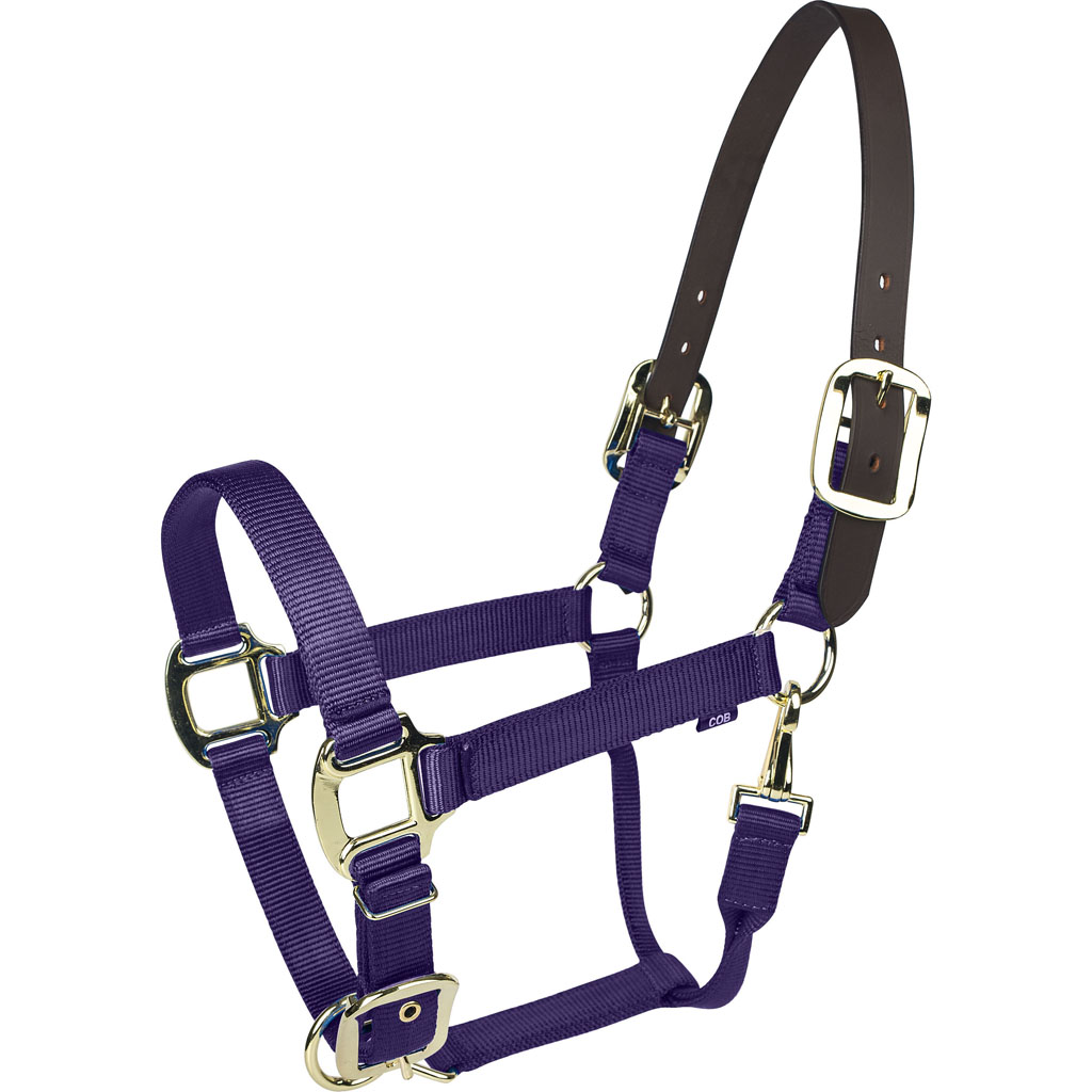 Picture of Gatsby 4-367760 Gold Nylon Breakaway Halter - Purple - COB