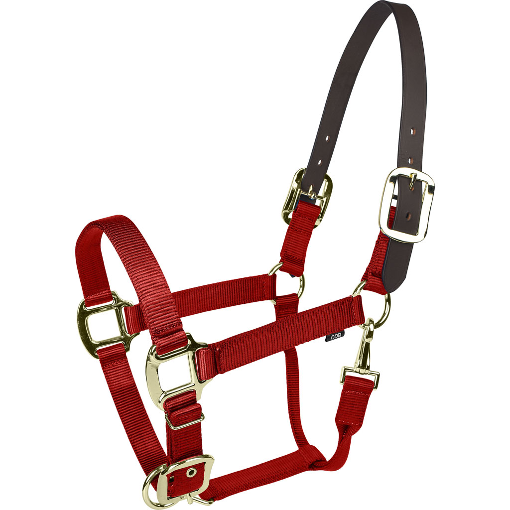 Picture of Gatsby 4-367767 Gold Nylon Breakaway Halter - Red - Pony