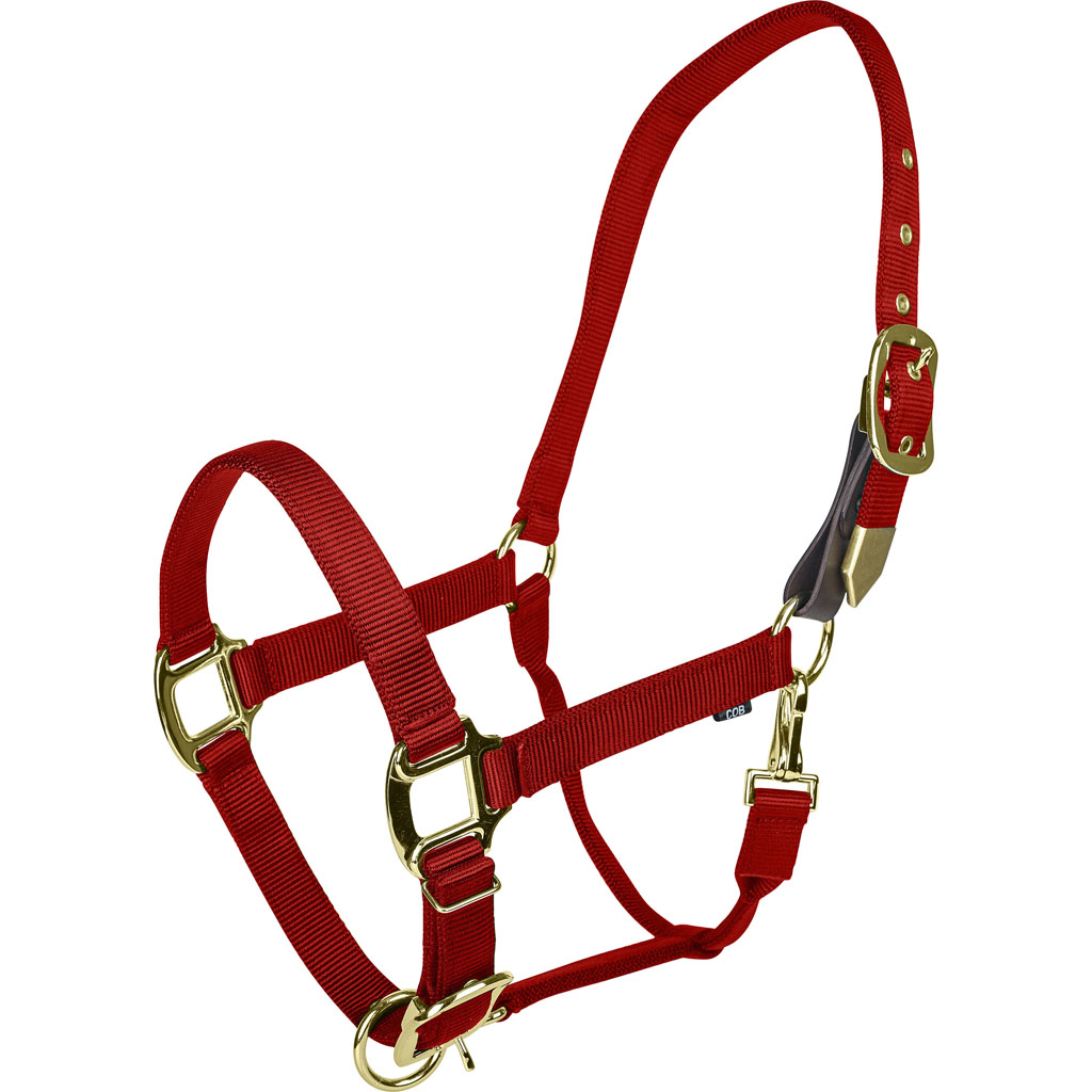 Picture of Gatsby 4-394659 Gold Adjustable Safety Breakaway Halter - Red - Oversize