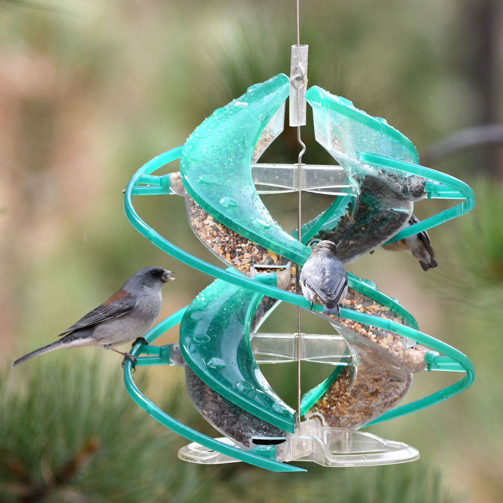 Picture of Cascade 25494 DNA Songbird Seed Feeder - Green - 2 lbs