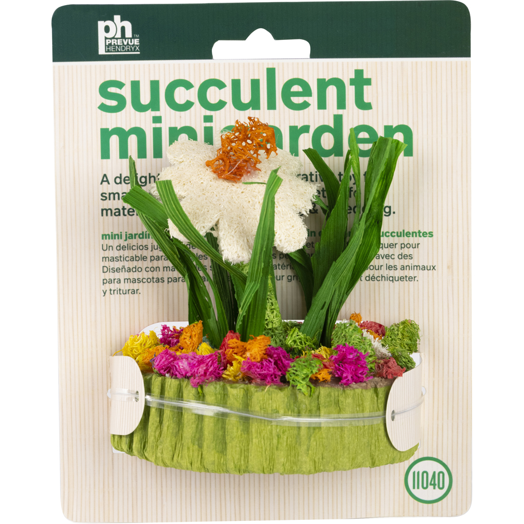 Picture of Prevue Pet 11040 3.38 x 3.38 x 3.75 in. Succulent Minigarden - Case of 50