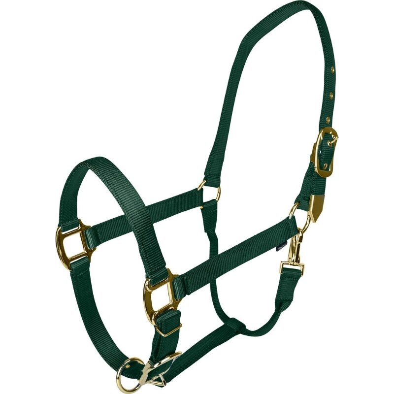 Picture of Gatsby 4-367743 Gold Adjustable Halter with Snap - Hunter Green - Pony