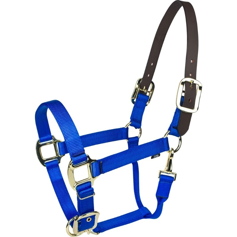 Picture of Gatsby 4-367755 Gold Nylon Breakaway Halter - Blue - Pony