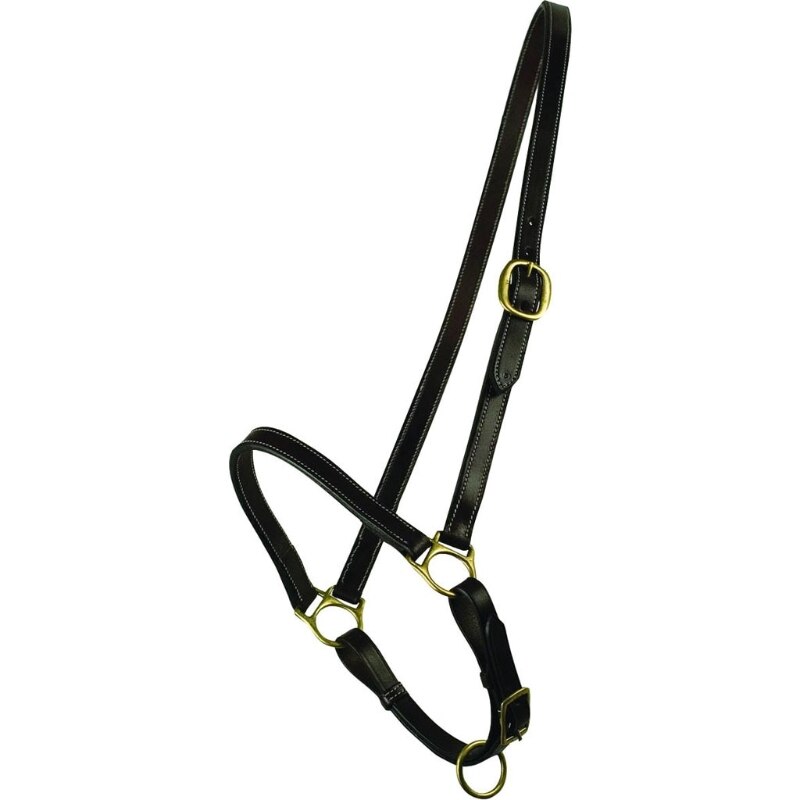 Picture of Gatsby 5-105624 Leather Grooming Halter - Brown - Horse