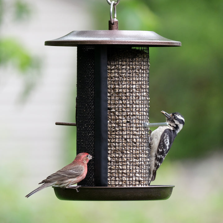 KMESH-5 2.375 qt. Beloved Dual-Chamber Metal Mesh Bird Feeder - Bronze