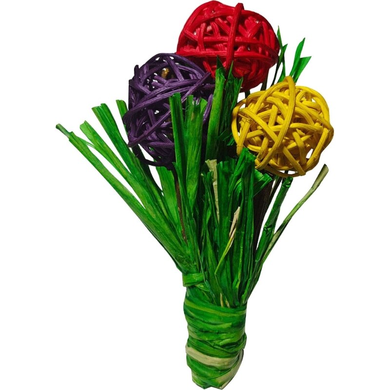 NB150 Nibble Chewy Blooms Toy