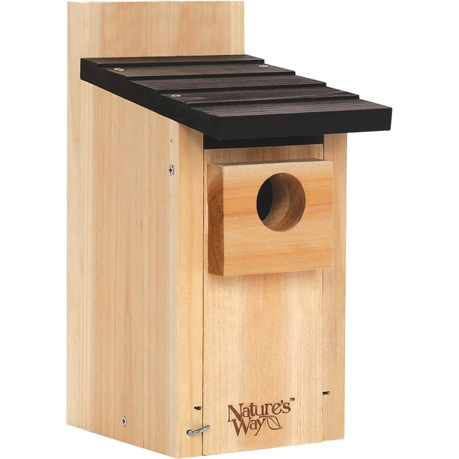 WWCH3 Cedar Bluebird Box Wild Brid House, Brown - 4 Piece
