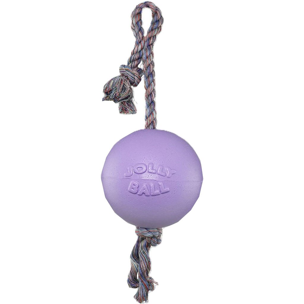 606 LT PR Romp-N-Roll Ball Dog Toy, Light Purple - Medium - 6 in.