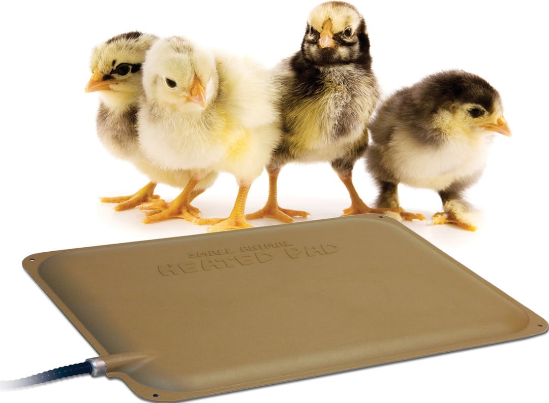 K&H 100552577 Thermo Peep Heated Pad, Petite