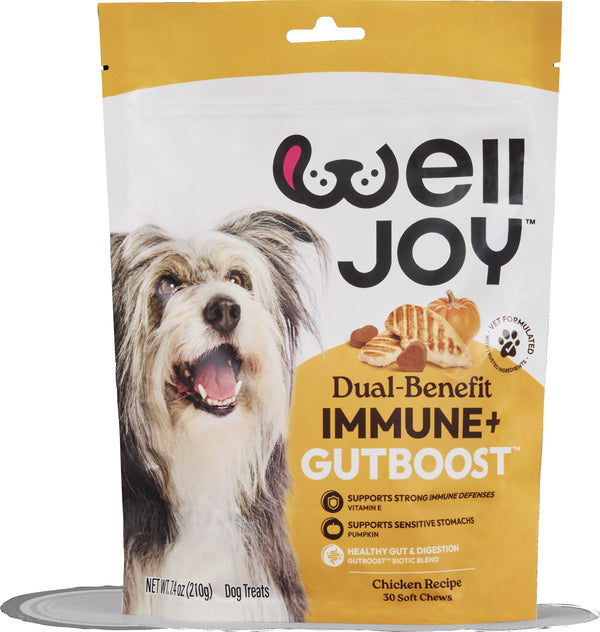 WDTI24 7.4 oz Immune & Gut Boost Dog Treat