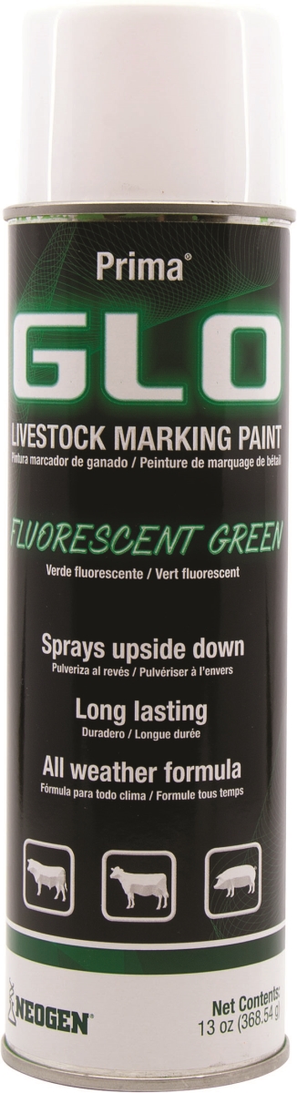 Ideal Prima Spray-On Glo Spray Paint, Fluorescent Green, 13 oz Can