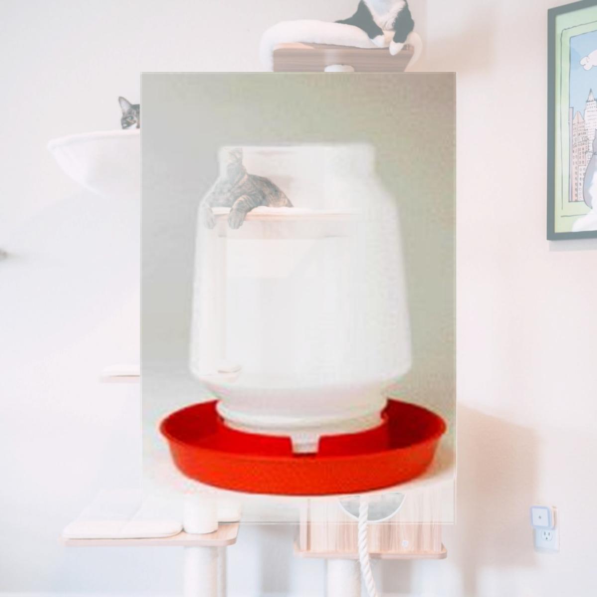 Picture of Miller Plastic Screw On Jar White 1 Gallon - 666