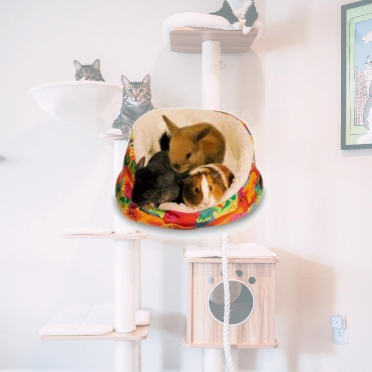 Picture of Pets International Critter Cuddle-e-cup 12x10x5.5 Inch - 100079510