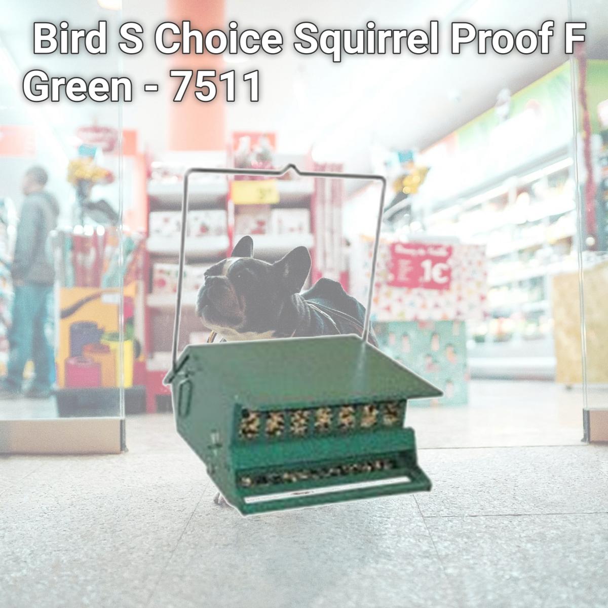 Picture of Century Tool And Mfg Bird S Choice Squirrel Proof F Green - 7511