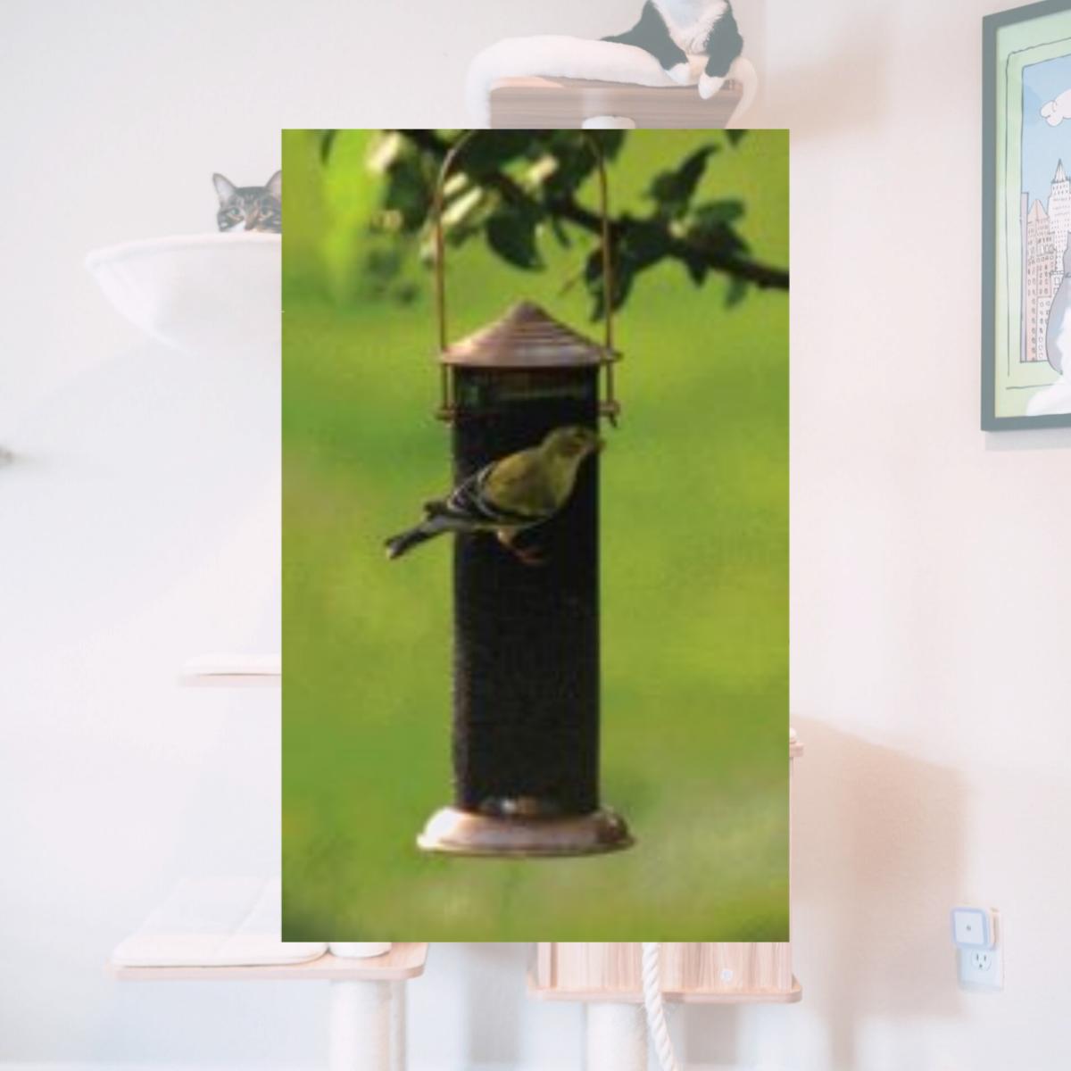 Picture of Woodlink Mini Thistle Feeder Brown .5 Pounds - COPTMINI
