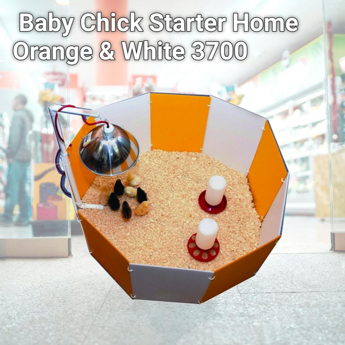 Picture of Farm Innovators-Farm Baby Chick Starter Home Orange & White 3700