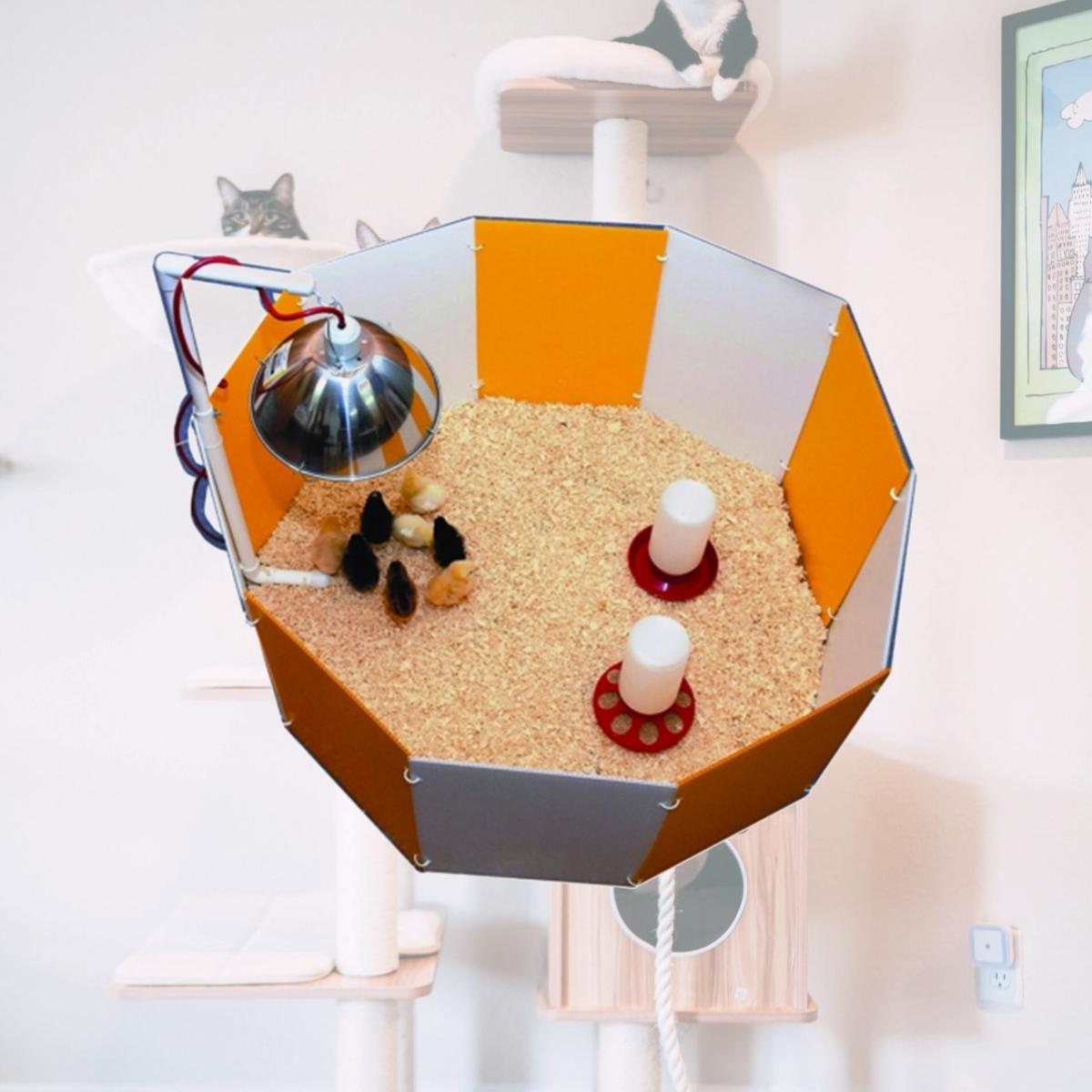 Picture of Farm Innovators-Farm Baby Chick Starter Home Orange & White 3700