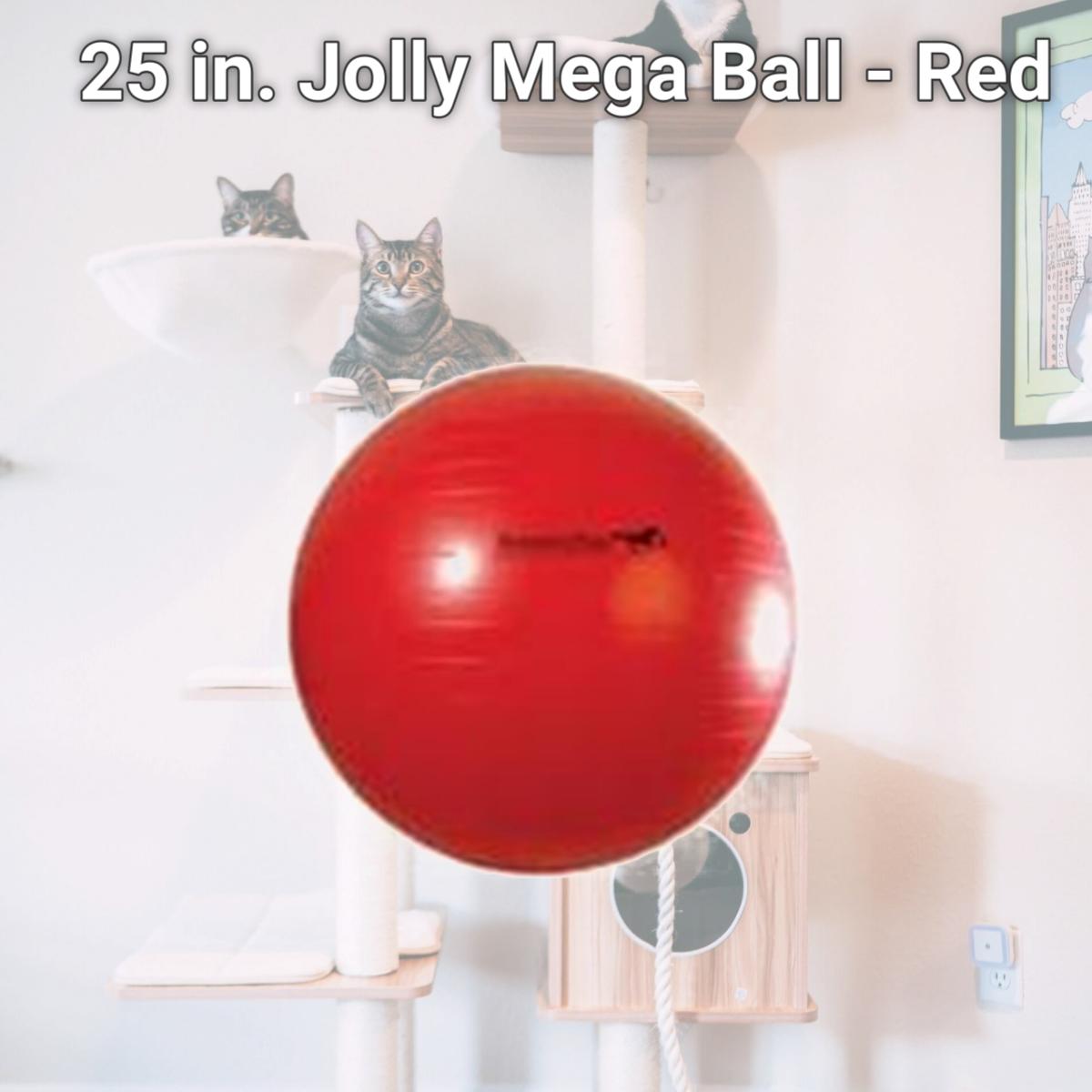 Picture of Horsemens Pride 055040 25 in. Jolly Mega Ball - Red