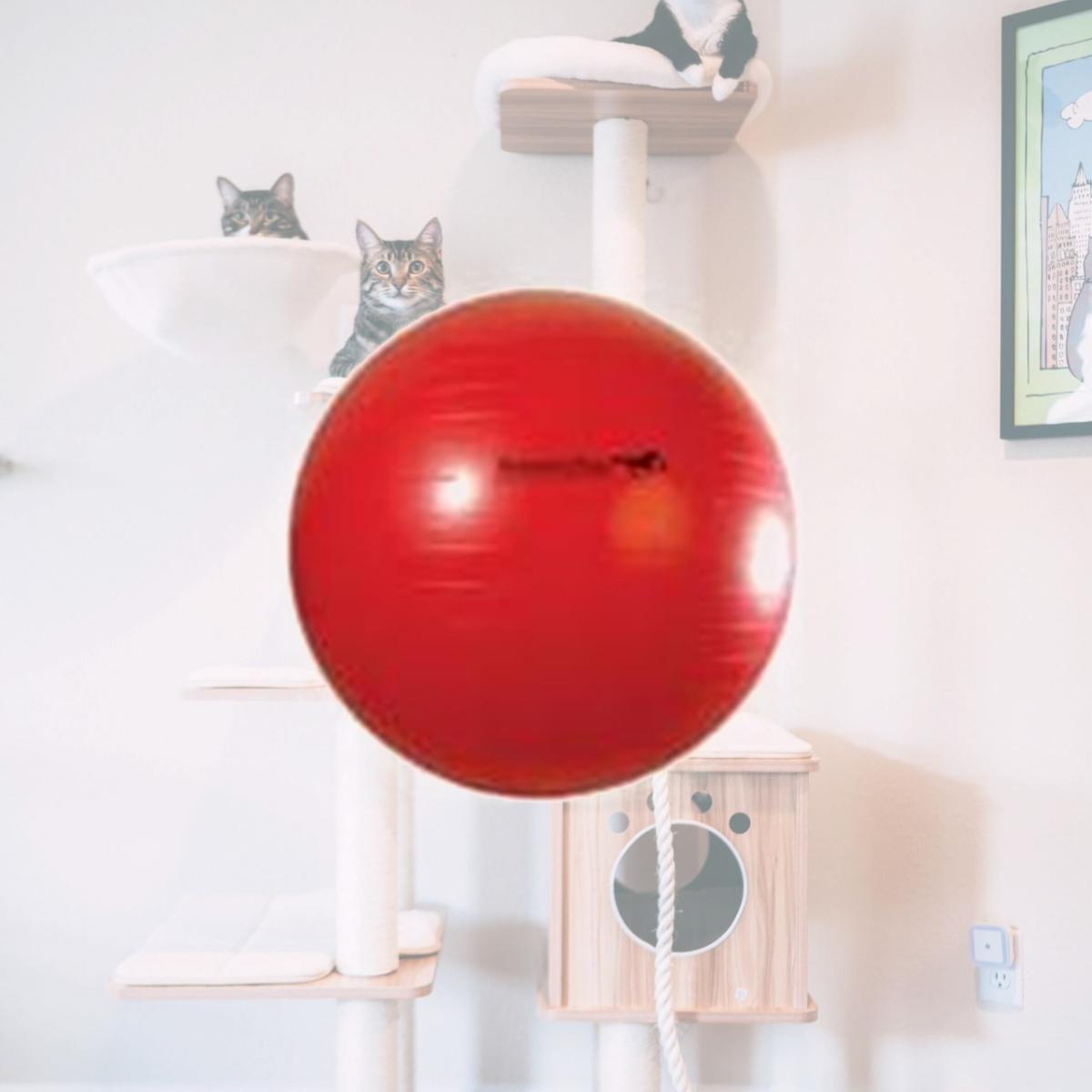 Picture of Horsemens Pride 055040 25 in. Jolly Mega Ball - Red