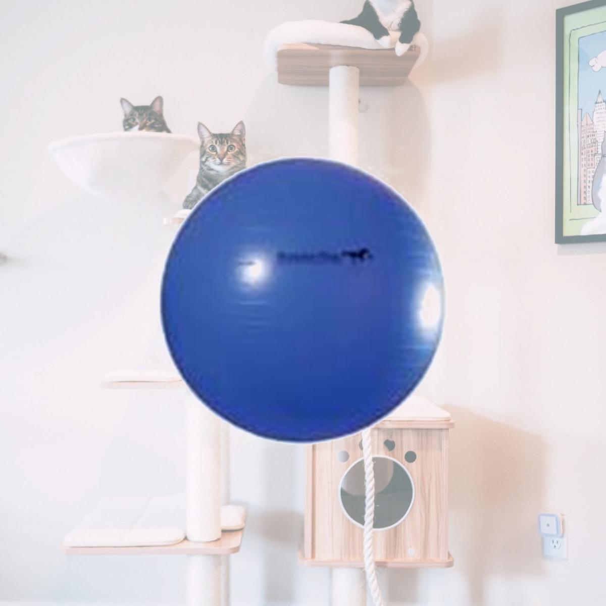Picture of Horsemens Pride 055041 Jolly Mega Ball - Blue