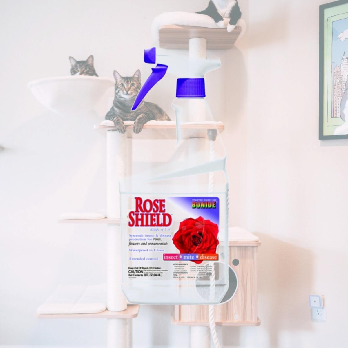 Picture of Bonide Rose Shield Ready To Use 32 Ounce 982