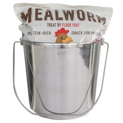 DMWBKIT 5 lbs Bag Dried Mealworms with Stainless Steel Feeder Bucket, Brown & Silver
