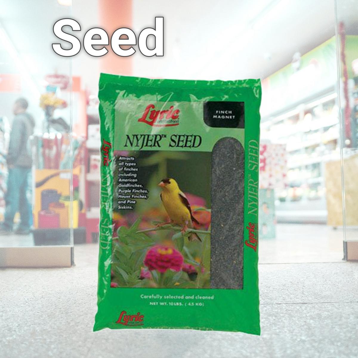 Picture of Lebanon Seaboard GRV2647427  Seed