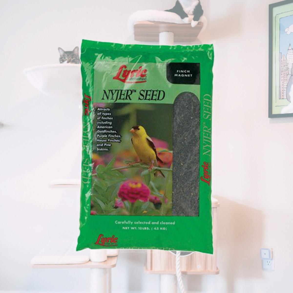 Picture of Lebanon Seaboard GRV2647427  Seed