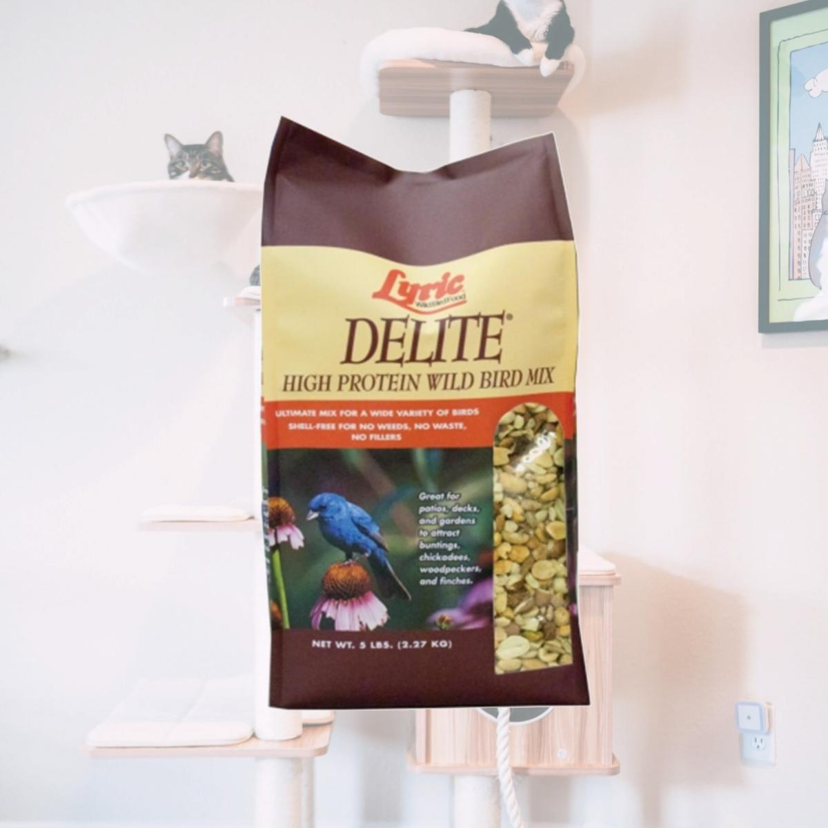 Picture of Lebanon Seaboard GRV2647403 Lyric 5 No. Delite Bird Food Cube Maroon Bag