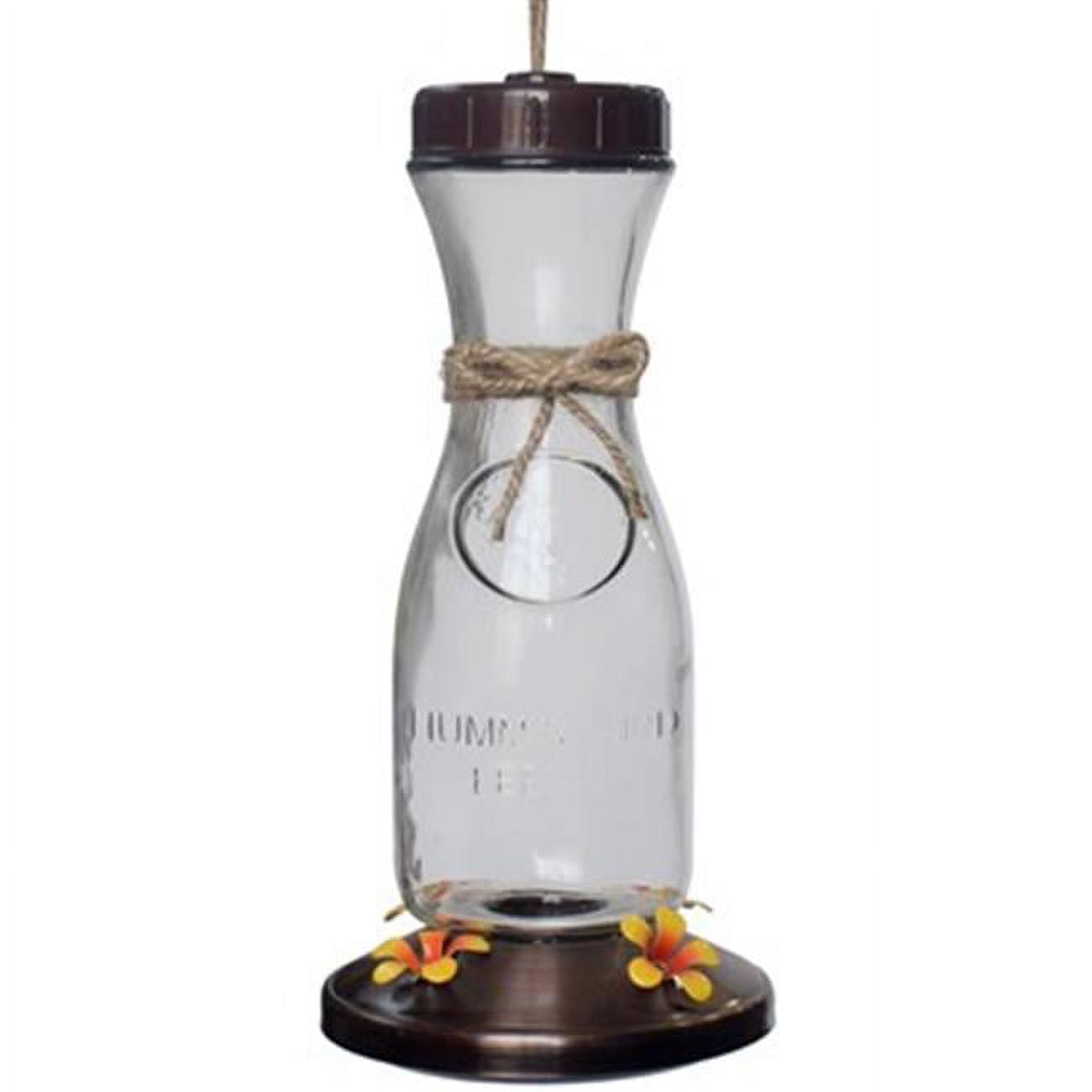 Picture of FOF FOFHB0571D 21 oz Wine Carafe Glass Hummingbird Feeder