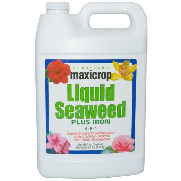 MAX2002 1 gal Bottle Liquid Seaweed Plus Iron 2 Percent 0-0-1 Fertilizer