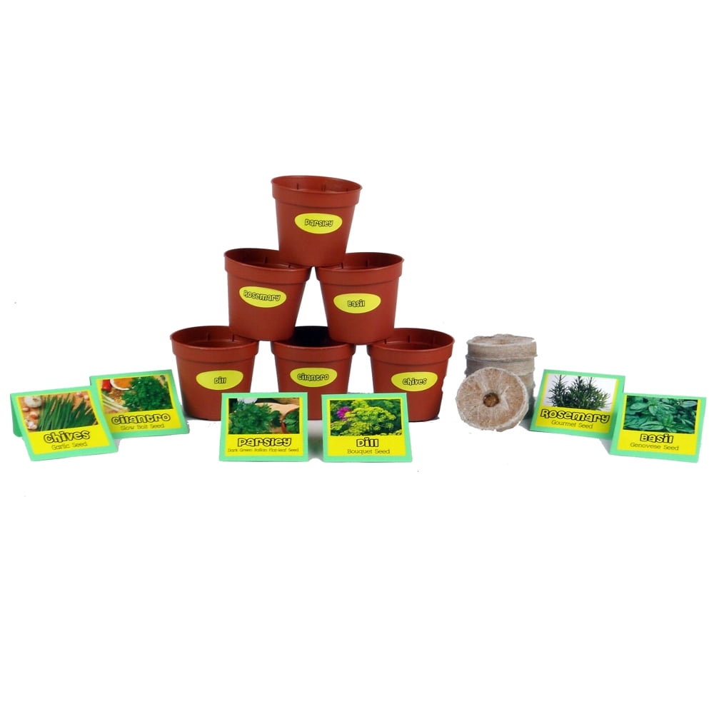 CHP102216 Chefs Herb Garden Seed Starter Kit -  Fun Landscaping