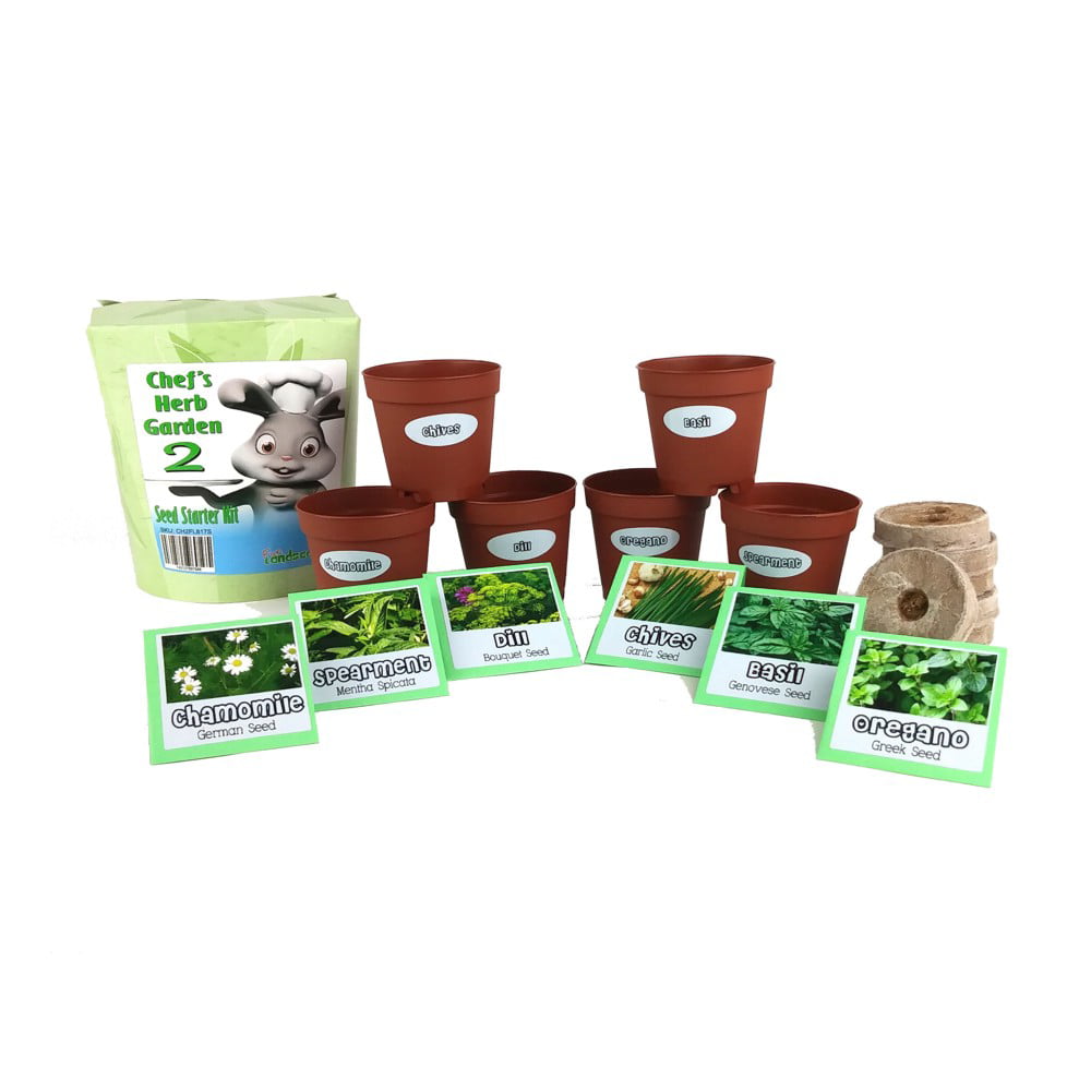 CHG21017 Chefs Herb Garden 2 Seed Starter Kit -  Fun Landscaping