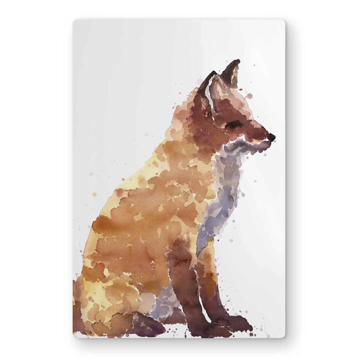 C1MP121836GPIK 12 x 18 in. Red Fox Metal-Print Wall Art - Wildlife Home Decor Art Piece