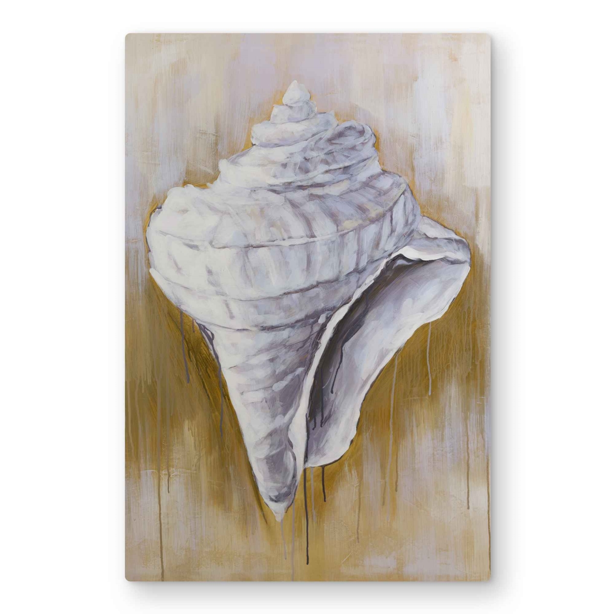 C1MP20301HIPEQ 20 x 30 in. Conical Shell - White Aquatic Animals Metal Print Wall Art - Decor